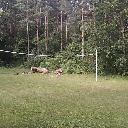 Aaviku